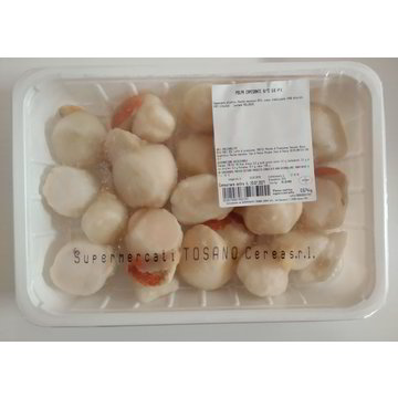 Polpa Capesante 8 12 Uk25 P V