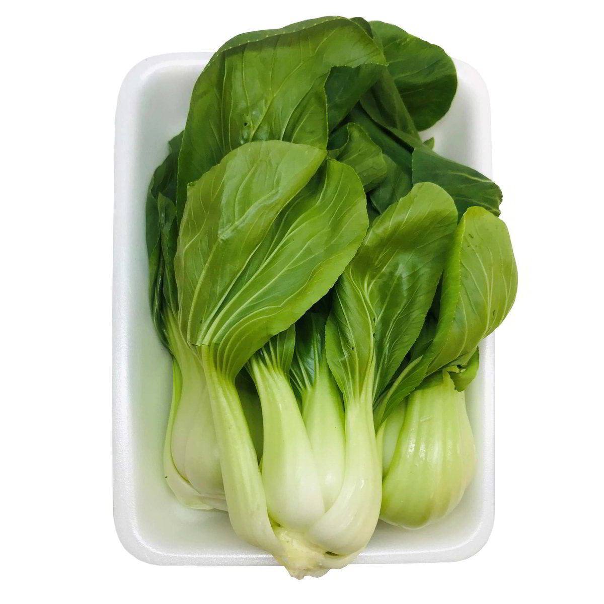 PAK CHOI KG. 1 CIRCA secondo Iper Tosano