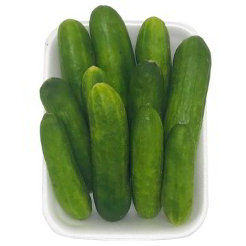 Semi Di Ricino Semi Di Cetriolo Mini Snack Picolino F1 - Resistente All'oidio, Per Orto Semi Orto Facili Da Coltivare